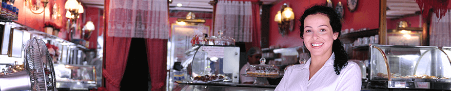 Smalll Business Security Systems